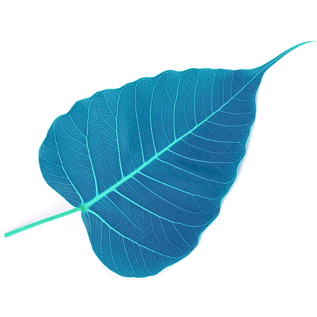 AudioDharma: Collection of talks from Engaged Buddhism: Tradition, Innovation, and Contemporary Challenges