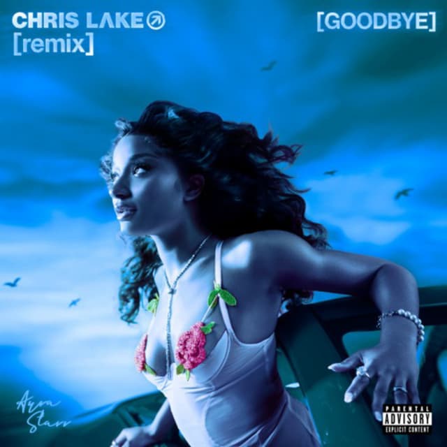 GOODBYE (WARM UP)[CHRIS LAKE REMIX]