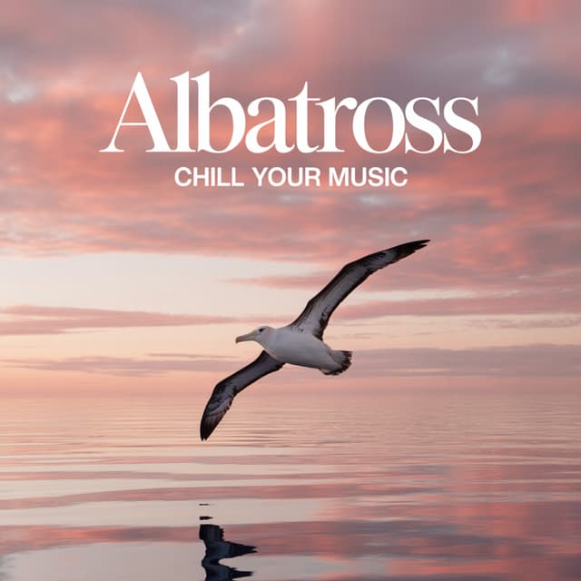 Albatross