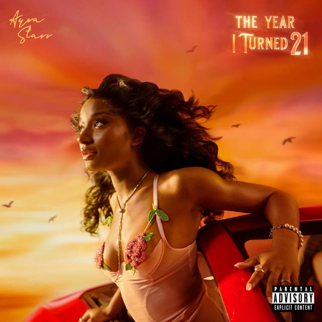 THE YEAR I TURNED 21