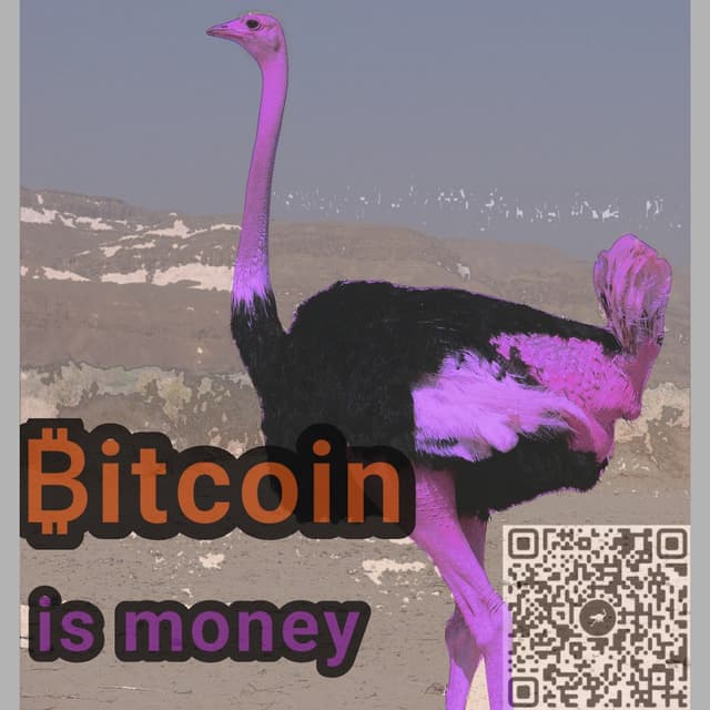 Bitcoin is money