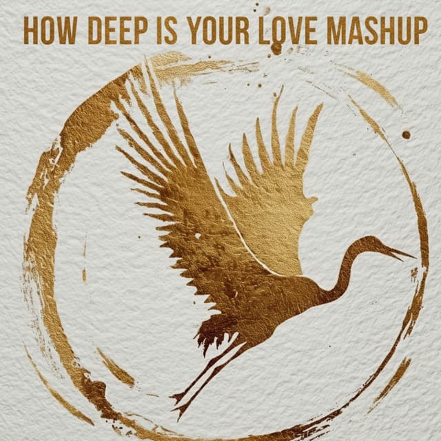 How Deep Is Your Love Mashup