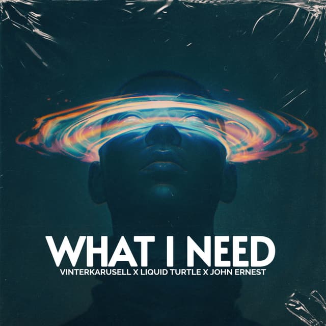 What I Need (feat. Liquid Turtle & John Ernest)