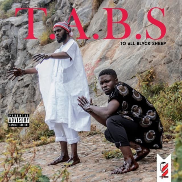 T.A.B.S (TO ALL BLVCK SHEEPS)