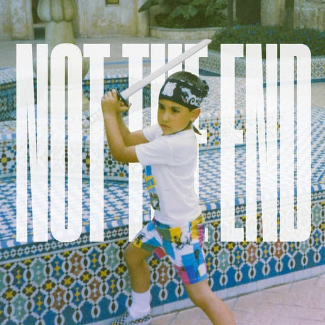 Not the End - Single