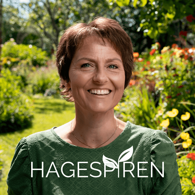 Hagespiren Podcast