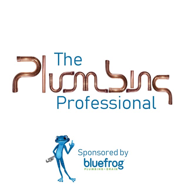 The Plumbing Professional