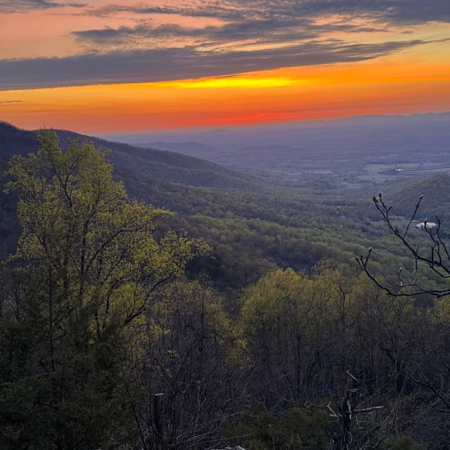 The Jimmie Rhoades Show