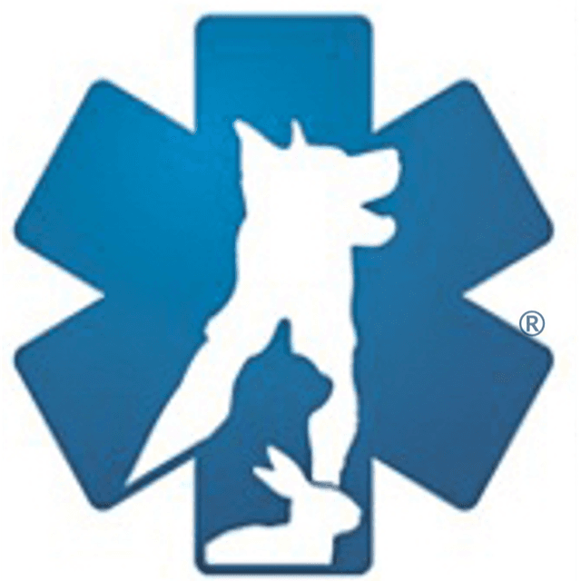 Veterinary Team Training
