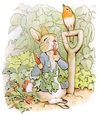 Peter Rabbit