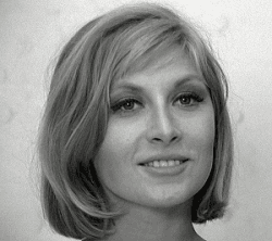 Ann Lynn