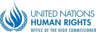 United Nations High Commissioner for Human Rights