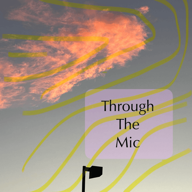 Through The Mic - Single