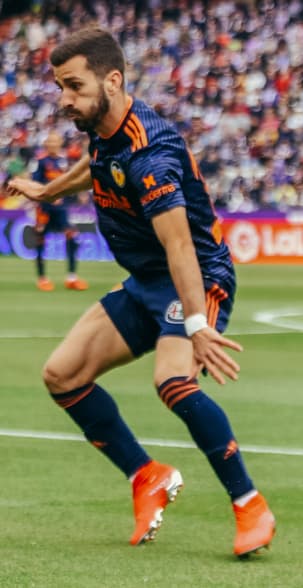 Jose Luis Gaya